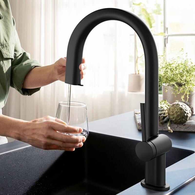 Bild von Hansgrohe Aqittura M91 Küchenmischer, FilterSystem 210, ausziehbar bis 50cm, 1jet, 76803, Farbe: Schwarz Matt