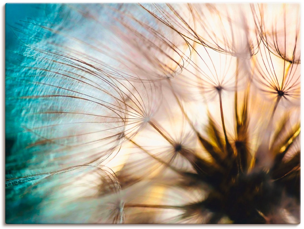 Bild von Wandbild ARTLAND "Pusteblume Makro abstrakt", beige (naturfarben), B:120cm H:90cm, Bilder, als Alubild, Outdoorbild, Leinwandbild, Poster, Wandaufkleber