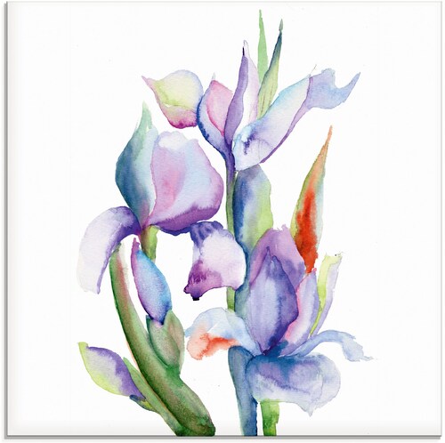 Bild von Artland Glasbild "Iris", Blumen, (1 St.), in verschiedenen Größen