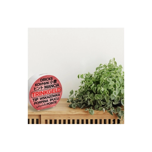 Bild von Speecheese Trinkgeld Spardose – Modellnummer 154213