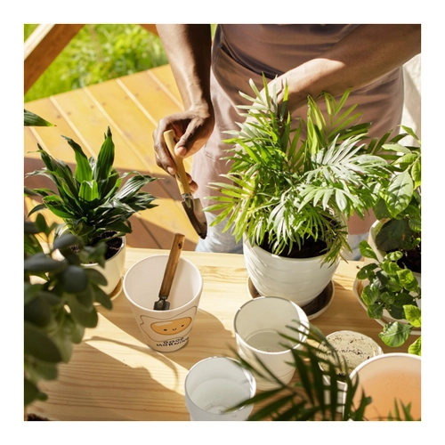 Bild von Jelly & Friends Spiegelei Blumentopf mit Spruch Good Morning
