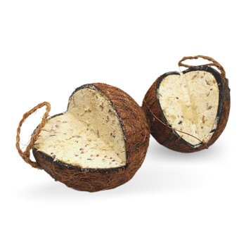 Bild von Lyra Pet® | 2 x 4 Ganze Kokosnüsse mit V-Cut Gefüllt | Energiereiches Vogelfutter | Kokosnuss mit fetthaltiger Füllung | Ganzjahres Fettfutter | Wie Meisenknödel | Nährstoffreiches Wildvogelfutter