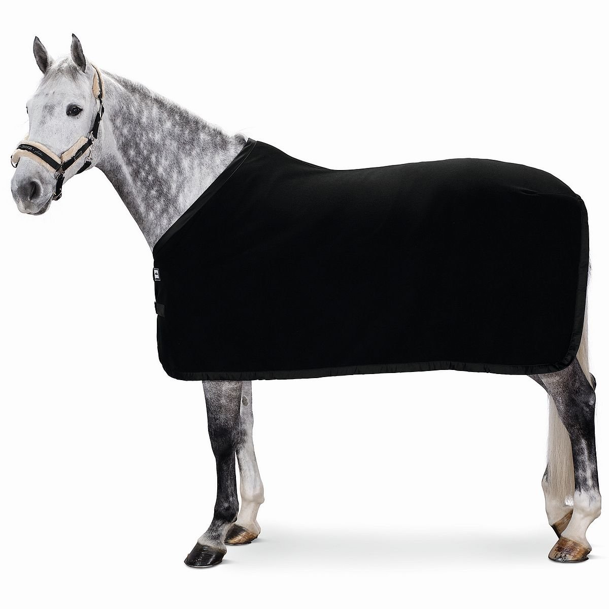 Bild von Eskadron New Basic Fleece Abschwitzdecke 0 g