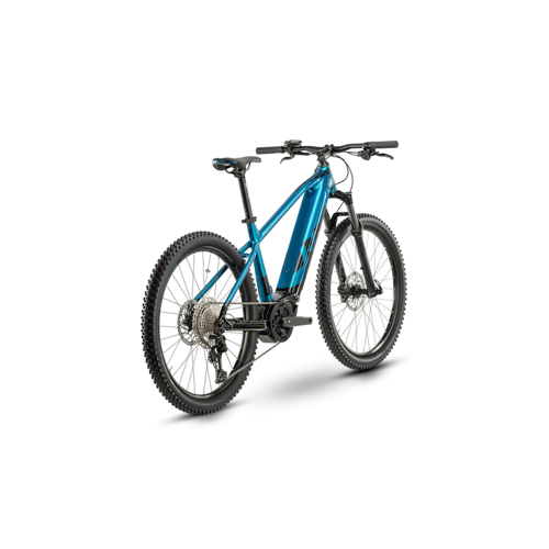 Bild von Raymon HardRay E-Nine 8.0: Ein leistungsstarkes E-Mountainbike für Abenteuerlustige