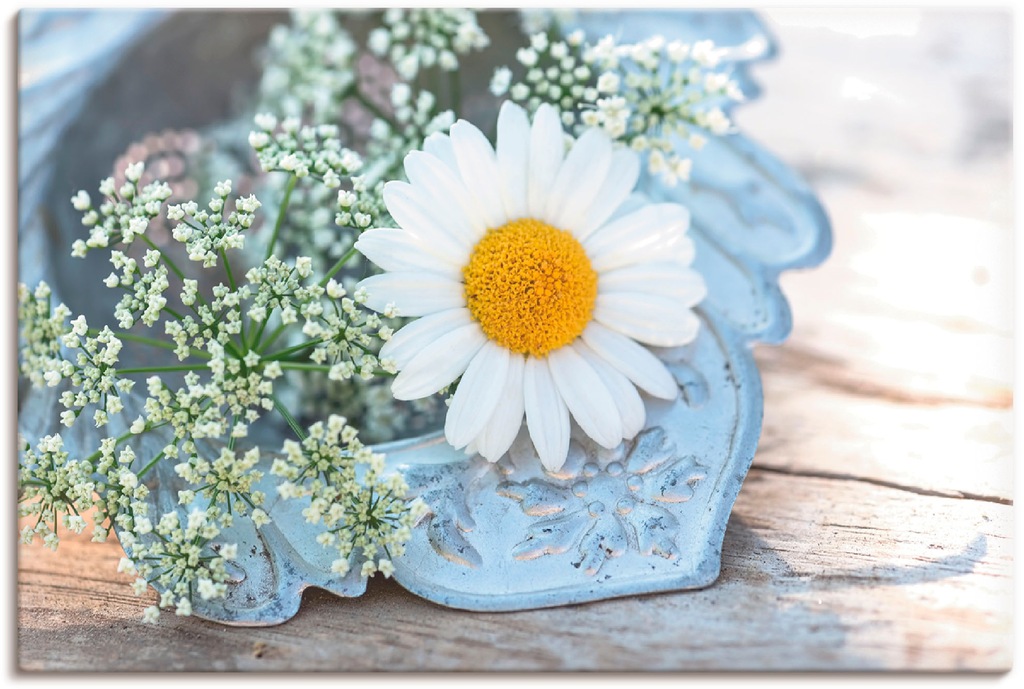 Bild von Artland Leinwandbild "Zarte Margeriten Blüte", Blumen, (1 St.), auf Keilrahmen gespannt