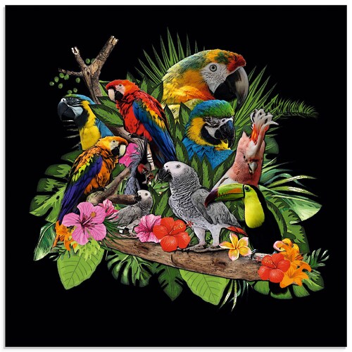 Bild von Artland Glasbild "Papageien Graupapagei Kakadu Dschungel", Vögel, (1 St.), in verschiedenen Größen