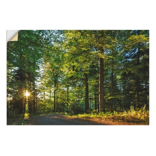Bild von Artland Wandbild "Waldweg im Romantischen Schwarzwald" im Test