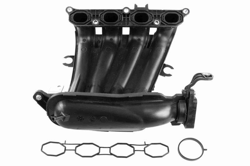 Bild von ACKOJA A38-0001 Staubschutzsatz Staubmanschette, Federwegbegrenzer, Staubschutz Hinterachse NISSAN: Qashqai / Qashqai+2 I, MICRA 3, Note I