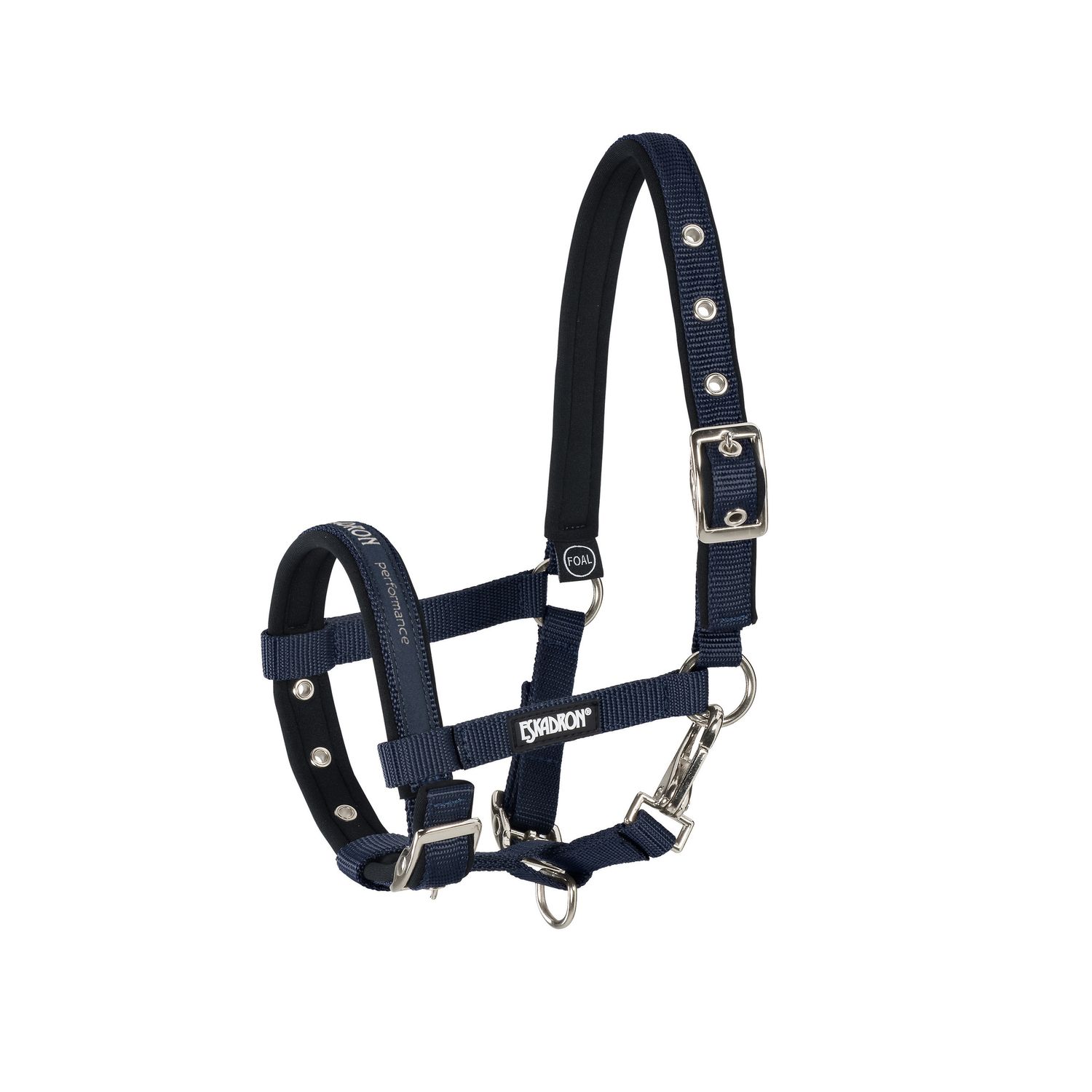 Bild von Eskadron Halfter Eskadron Basic Fohlen Halfter