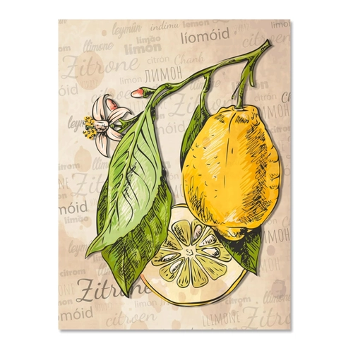 Bild von wandmotiv24 Leinwandbild Obst & Gemüse, Hochformat, Avocado, Grün, Gelb