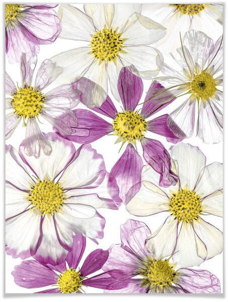 Bild von Wall-Art Poster »Keeping Summer«, Schriftzug, (1 St.), Poster ohne Bilderrahmen