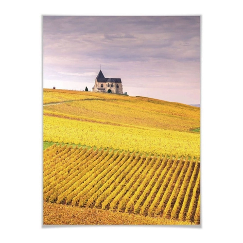 Bild von Wall-Art Poster "Weinfelder Champagne" – Ein Highlight für jede Wand