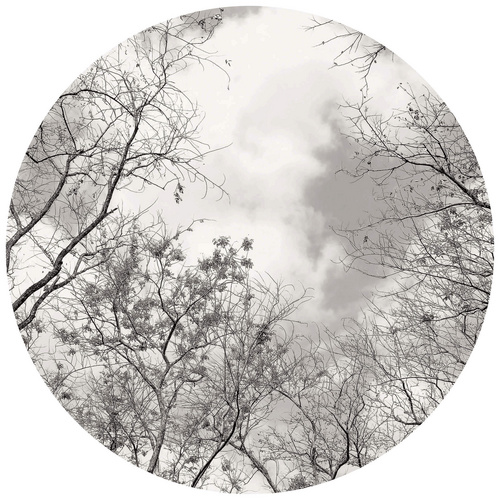 Bild von K&L Wall Art Vliestapete »Runde Vliestapete«, Baumkronen Himmel Natur, mehrfarbig, matt - bunt