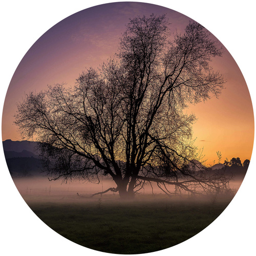 Bild von K&L Wall Art Vliestapete »Runde Vliestapete«, Cuadrado Nebel Baum des Lebens, mehrfarbig, matt - bunt