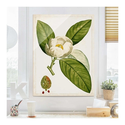 Bild von Glasbild Botanik Tableau Blatt Blüte Frucht II