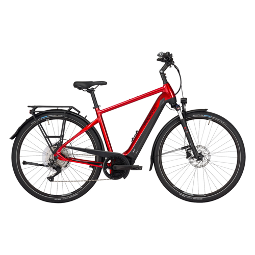 Bild von Herren e-Bike Pegasus Premio EVO 10 Lite - Eine umfassende Bewertung