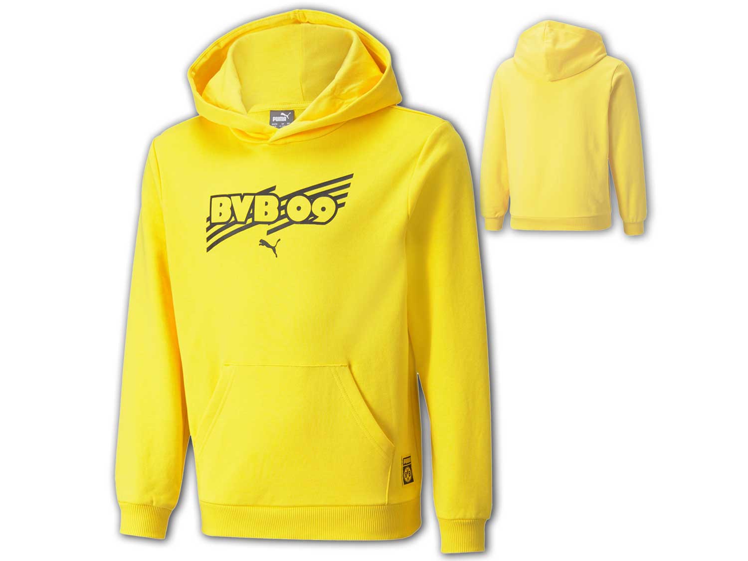Bild von Puma BVB ftblCore Hoody