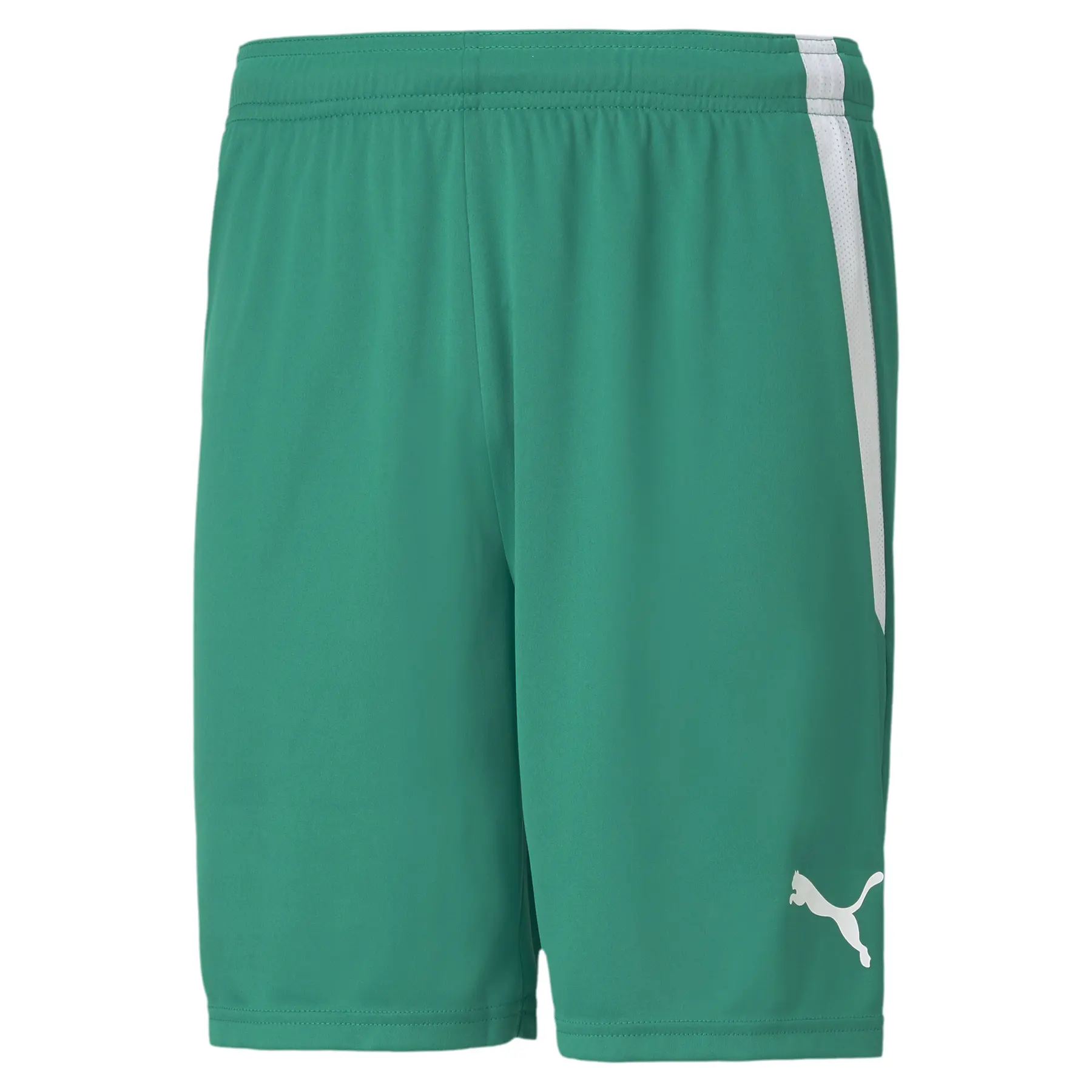 Bild von Puma teamLIGA Shorts 704924 Pepper Green-Puma White - Gr. XS