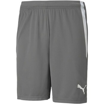 Bild von Puma, Herren, Sporthose, teamLIGA Shorts-704924 (M), Grau, M