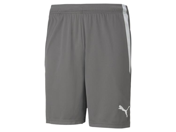 Bild von Puma teamLIGA Shorts 704924 Smoked Pearl-Puma White - Gr. 3XL