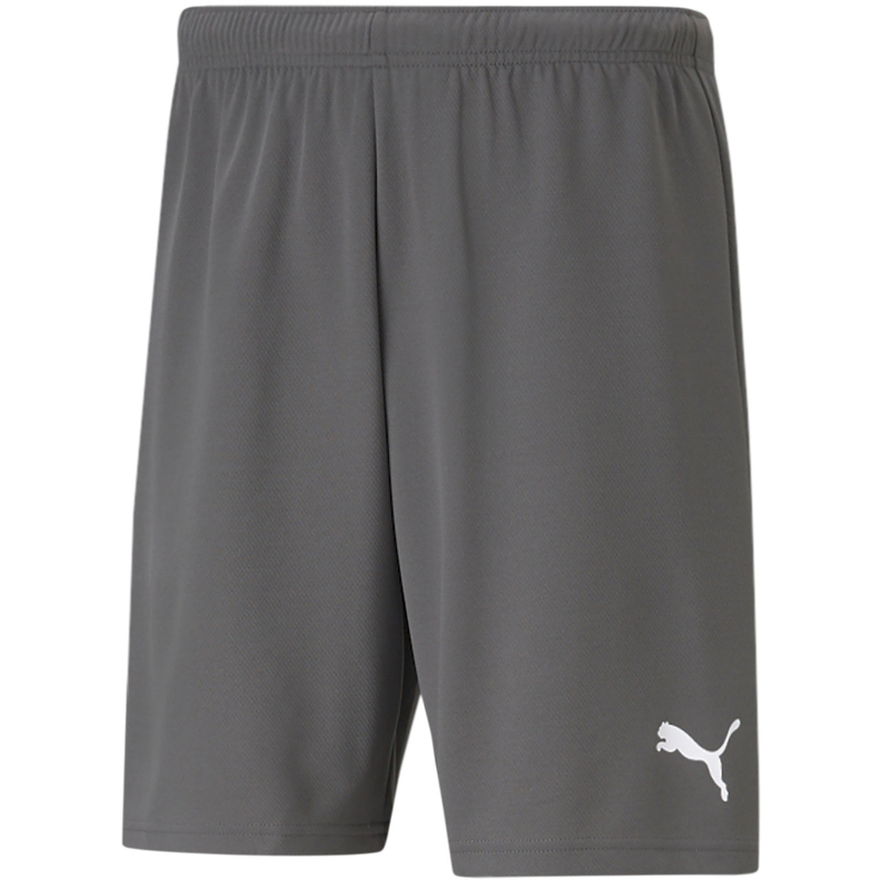Bild von Puma, Herren, Sporthose, teamRISE Short-704942 (3XL), Grau, 3XL