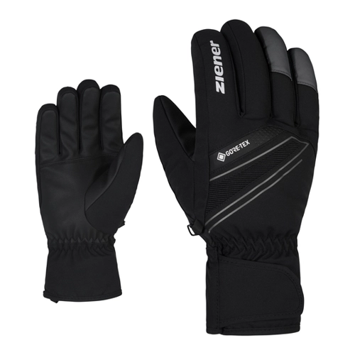 Bild von Ziener Gunar GTX Glove Ski Alpine Handschuhe im Test