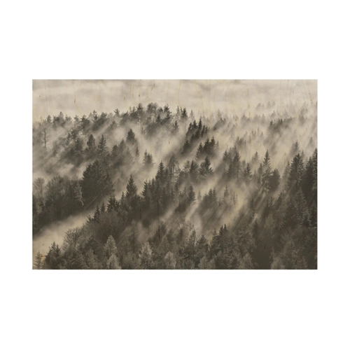 Bild von Holzbild Schwarz-Weiß Lichtstrahlen im Nadelwald - PPS. Imaging GmbH