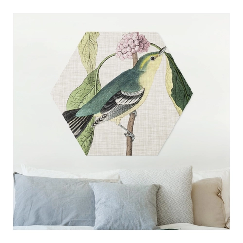 Bild von Hexagon-Forexbild Vogel auf Leinen Rosa I – Ein stilvolles Wandbild für jede Einrichtung