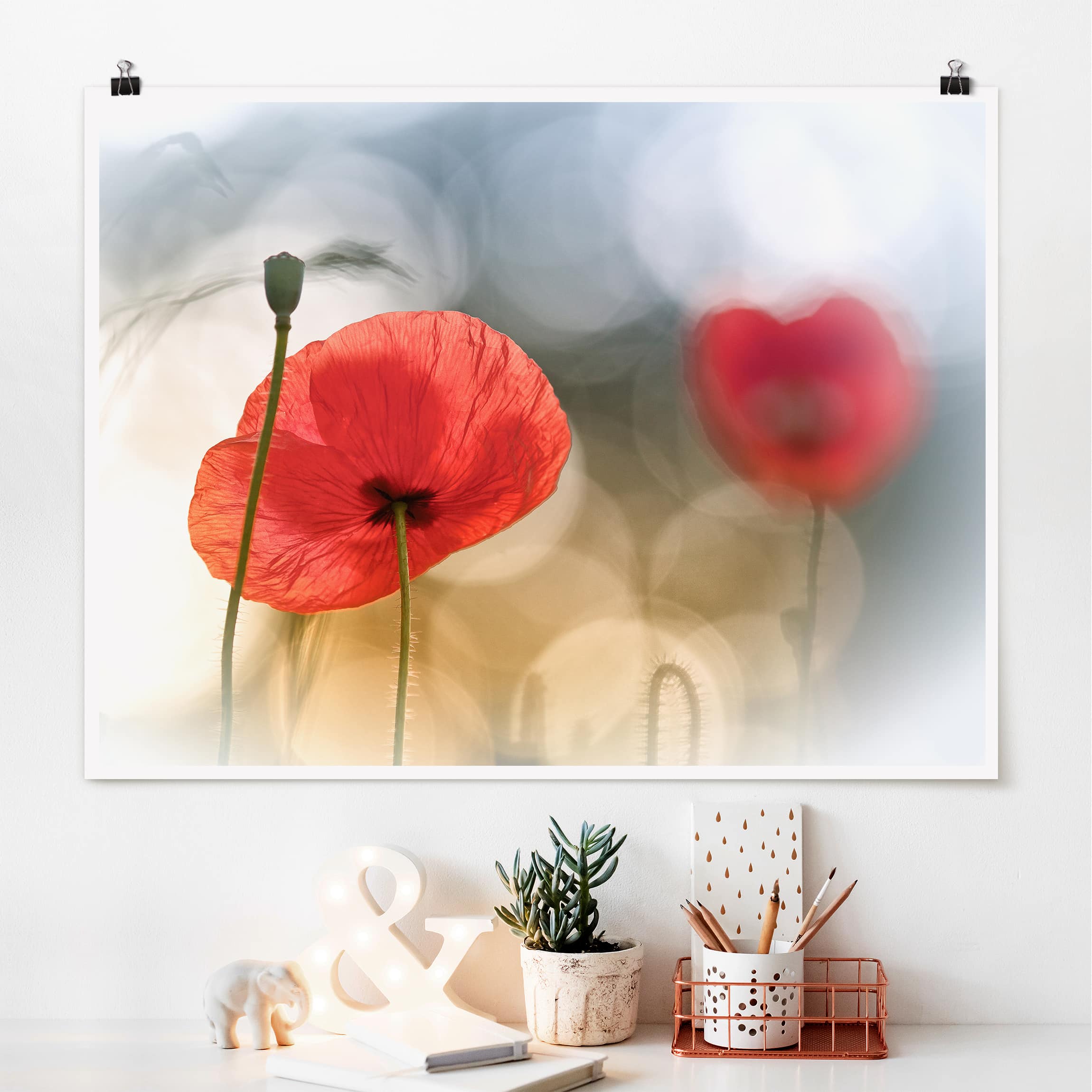 Bild von Bilderwelten Poster Motiv mit Klammern - Mohnblumen am Morgen - Querformat 3:4 Matt 30 x 40cm