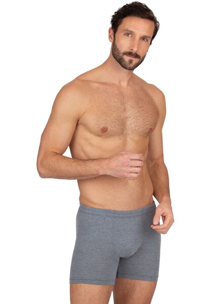 Bild von Trigema Boxer »TRIGEMA Herren Pant in bequemer Stretch-Qualität«, (1 St.)