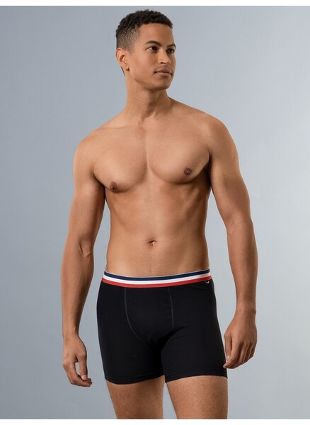 Bild von Trigema Boxer »TRIGEMA Pants mit praktischem Gummibund«, (1 St.)