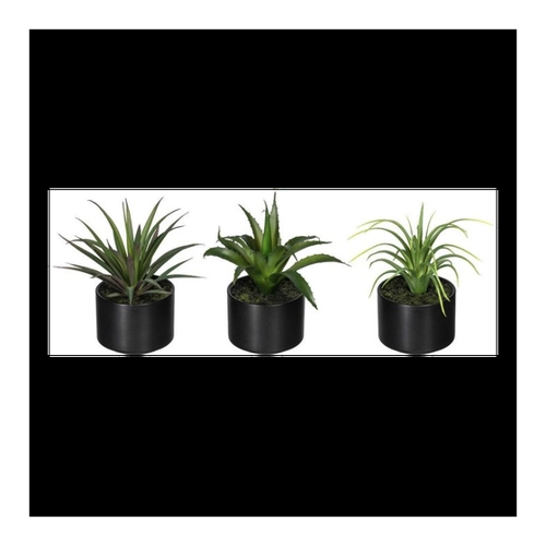 Bild von Künstliche Zimmerpflanze Set aus Aloe, Agave und Tillandsie