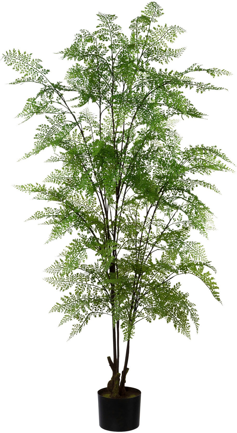 Bild von Kunstpflanze CREATIV GREEN "Adianthum", grün, H:127cm, Kunststoff, Kunstpflanzen, im Kunststofftopf
