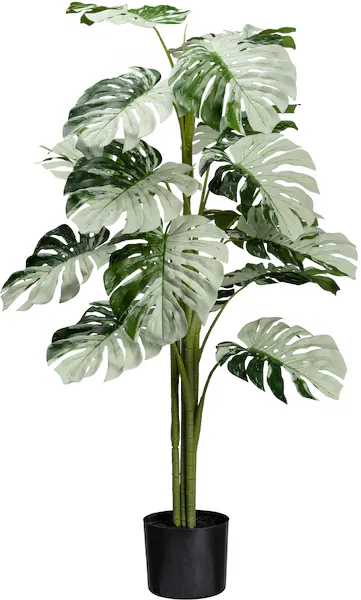 Bild von Künstliche Zimmerpflanze Monstera Variegata Halfmoon Grünpflanze, Creativ green, Höhe 115 cm, mit außergewöhnlichem Blattwerk