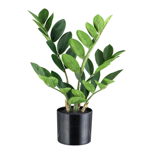 Bild von Zamifolia Kunstpflanze – Perfekte Dekoration für jedes Zuhause