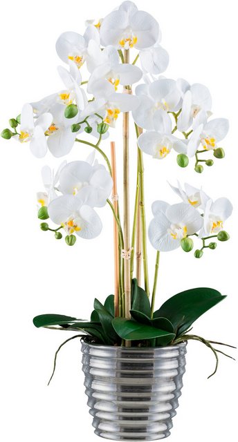 Bild von Kunstorchidee Orchidee Phalaenopsis, Creativ green, Höhe 62 cm, mit silberfarbenem Keramiktopf