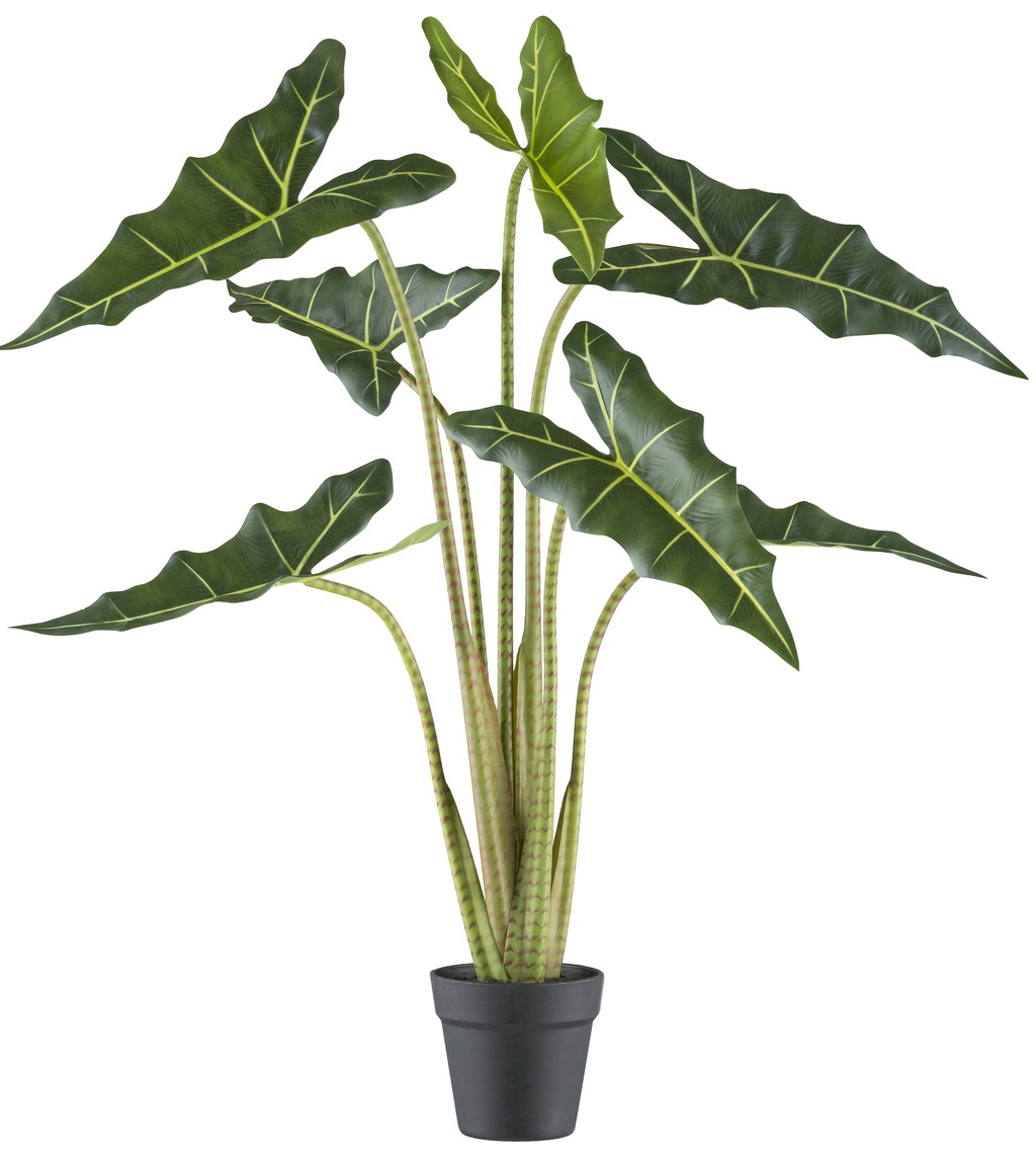 Bild von Kunstpflanze CREATIV GREEN "Alocasia zebrina sarian", grün, H:100cm, Kunststoff, Kunstpflanzen, mit gestreiftem Stamm