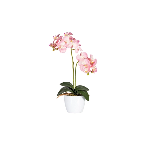 Bild von 2er Set Phalaenopsis Kunstpflanze im Keramiktopf – Rosa, 50cm