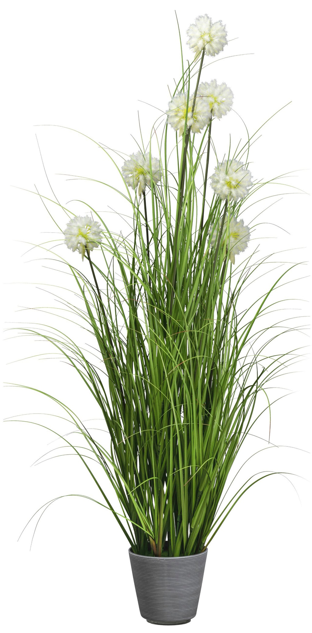 Bild von Kunstgras Grasbusch mit Pusteblumen, Creativ green, Höhe 150 cm, im attraktiven Pflanzgefäß