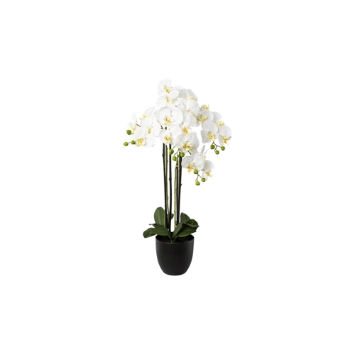 Bild von Kunstpflanze Phalaenopsis im Resintopf