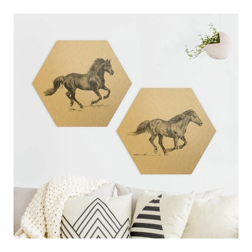 Bild von 2-teiliges Hexagon-Alu-Dibond Bild Wildpferd-Studie Set I