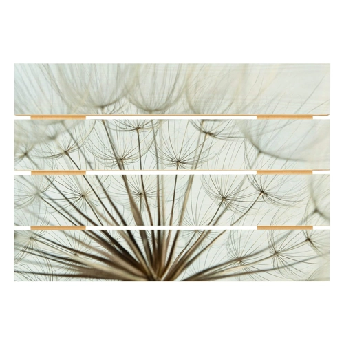 Bild von Holzbild Plankenoptik - Schöne Pusteblume Makroaufnahme im Querformat