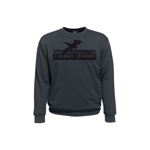 Bild von AHORN SPORTSWEAR Sweatshirt CHANNEL ISLANDS – Modisch und Bequem