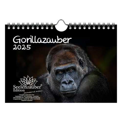 Bild von Gorillazauber DIN A5 Kalender für 2025 – Seelenzauber im Test
