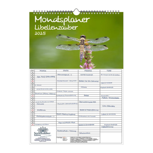 Bild von Seelenzauber Familienkalender Libellenzauber 2025
