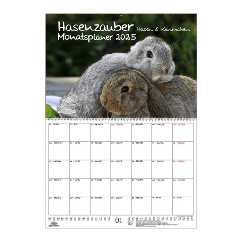 Bild von Hasenzauber Hasen und Kaninchen Planer DIN A2 Kalender für 2025
