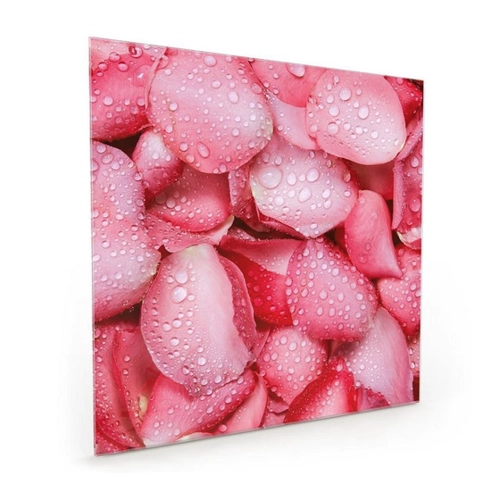 Bild von Primedeco Küchenrückwand Spritzschutz Glas mit Motiv Rosenblätter mit Tropfen