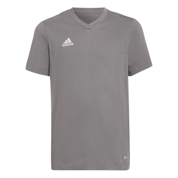 Bild von adidas, Unisex, Sportshirt, Entrada 22 T-Shirt Kinder (116), Grau, 116