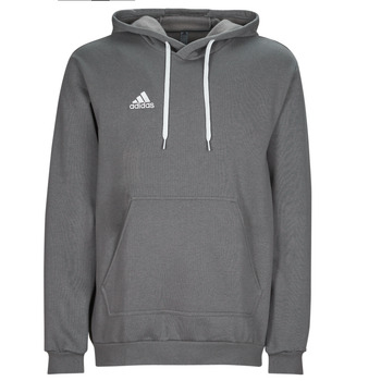 Bild von adidas Herren Entrada 22 Sweat Hoodie, Team Grey Four, M