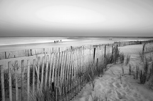 Bild von Papermoon Fototapete »Strand Schwarz & Weiß«